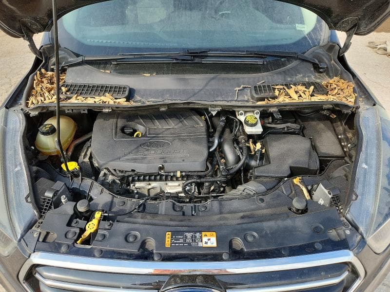2018 FORD ESCAPE SE 12