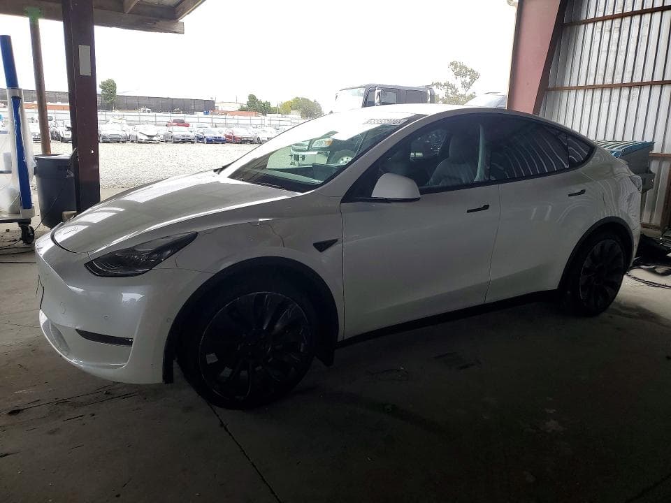 2020 TESLA MODEL Y - 1
