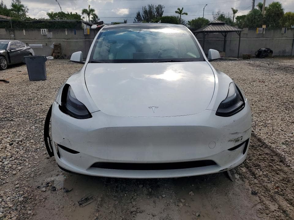 2024 TESLA MODEL Y 5