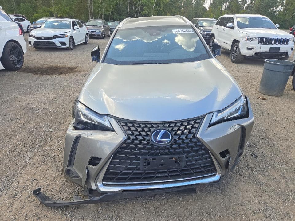 2019 LEXUS UX 250H 5