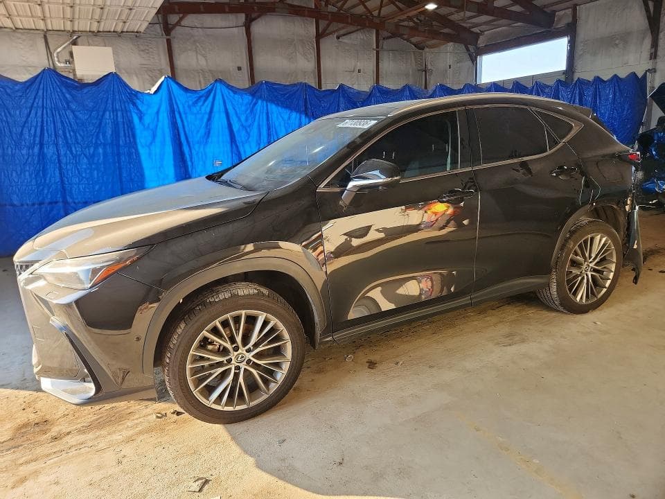 2024 LEXUS NX 350H LUXURY - 1