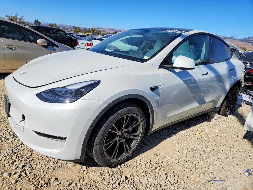 2024 TESLA MODEL Y