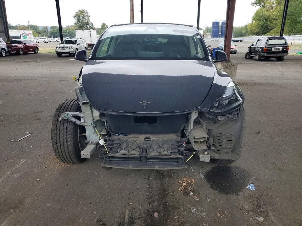 2023 TESLA MODEL Y 5