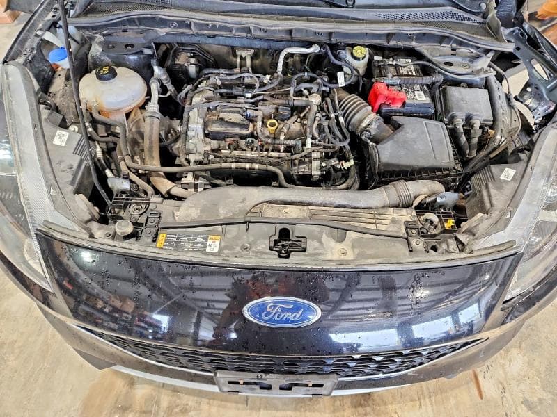 2020 FORD ESCAPE SE 12
