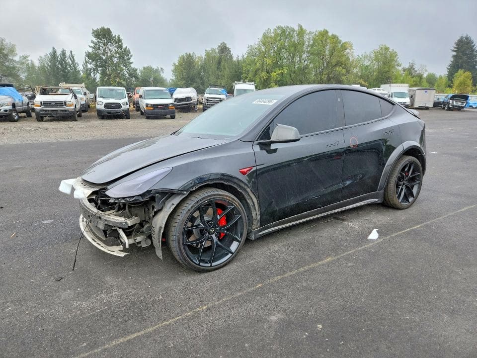 2023 TESLA MODEL Y - 1