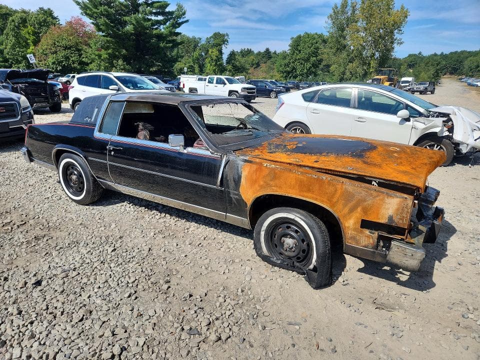 1981 CADILLAC ELDORADO 4