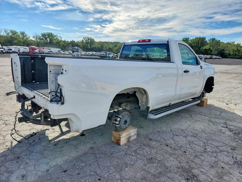 2025 CHEVROLET SILVERADO C1500 3