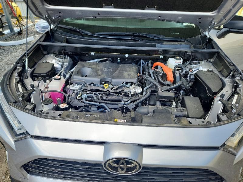2025 TOYOTA RAV4 LE 12