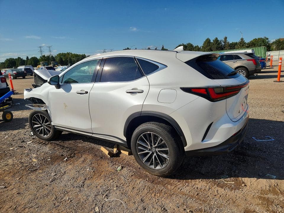 2024 LEXUS NX 350 PREMIUM 2