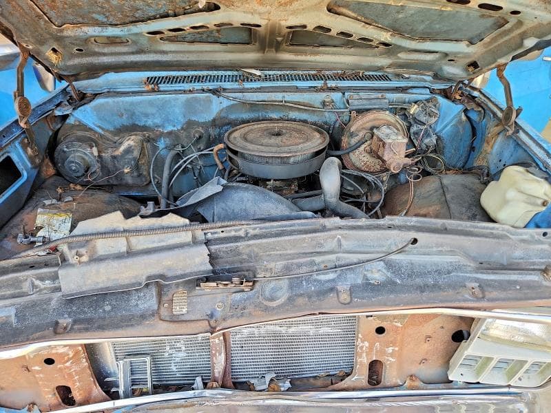1981 CHEVROLET C20 11
