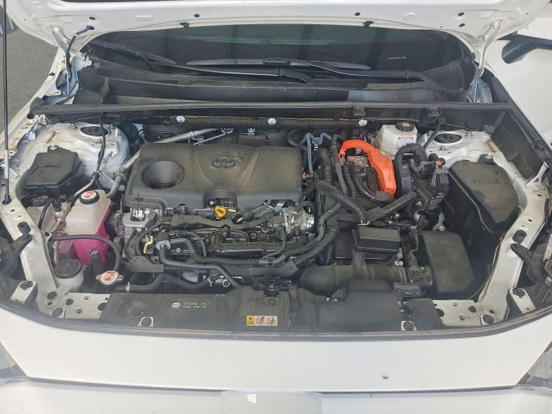 2025 TOYOTA RAV4 LE 12