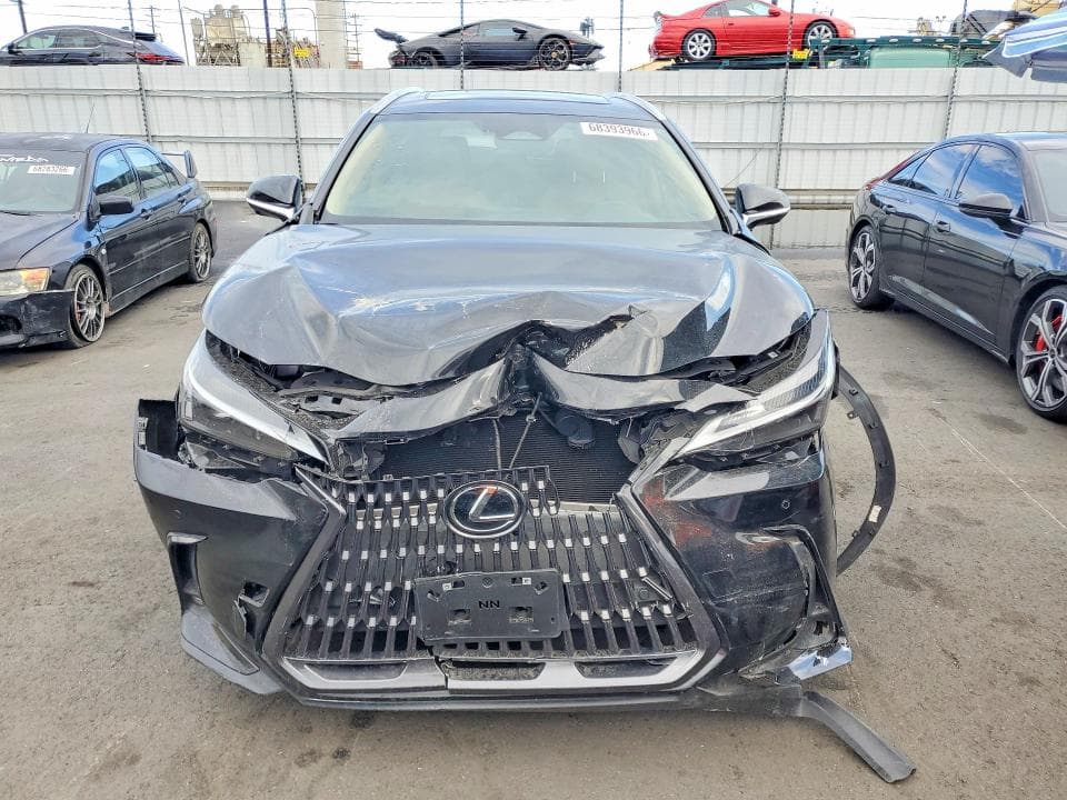 2025 LEXUS NX 350 PREMIUM 5