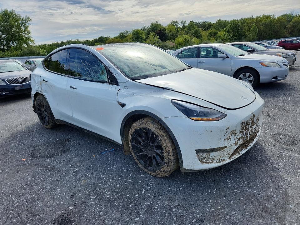 2022 TESLA MODEL Y 4