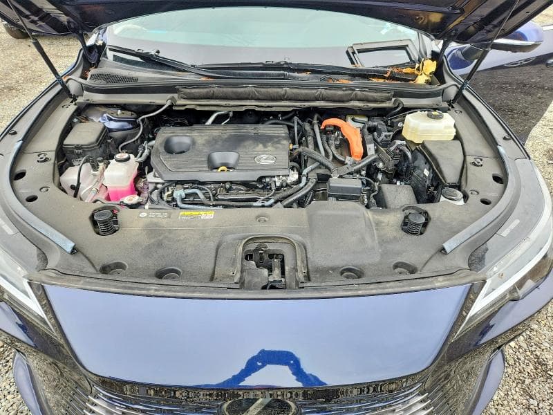 2024 LEXUS RX 350H PREMIUM 12