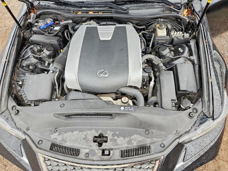 2019 LEXUS IS 350 11