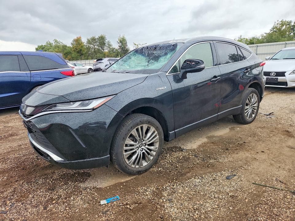2021 TOYOTA VENZA XLE