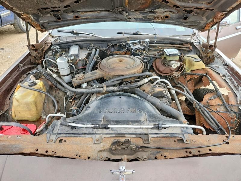 1983 CHEVROLET CAPRICE CLASSIC 11