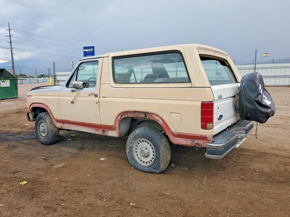 1985 FORD BRONCO U100 2