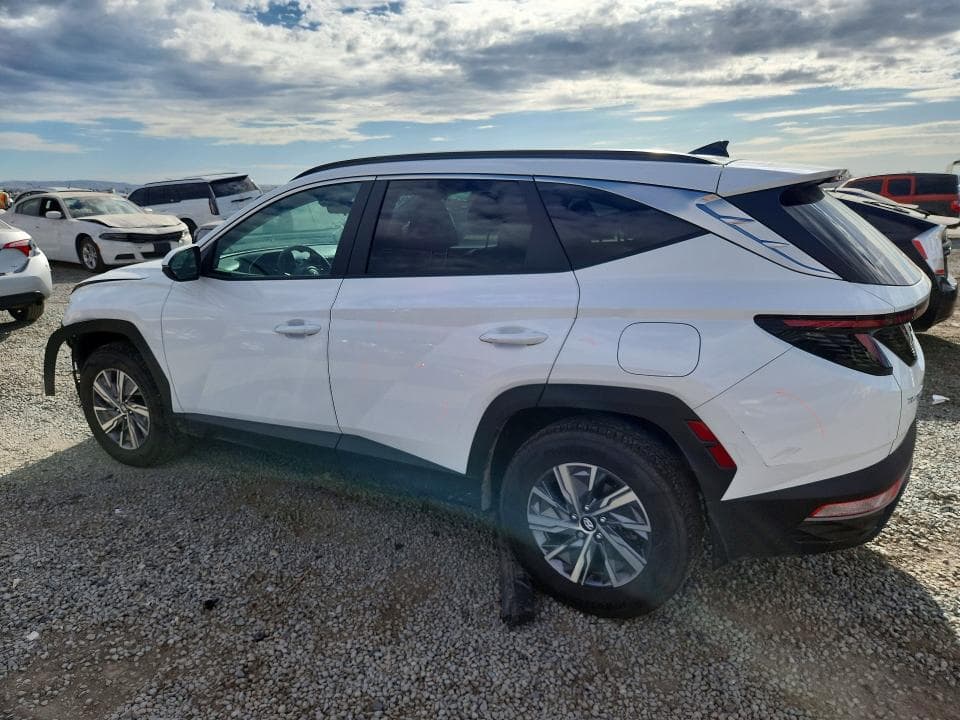 2023 HYUNDAI TUCSON BLUE 2