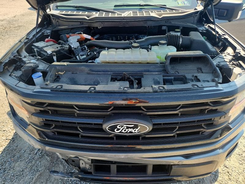 2024 FORD F150 XLT 11