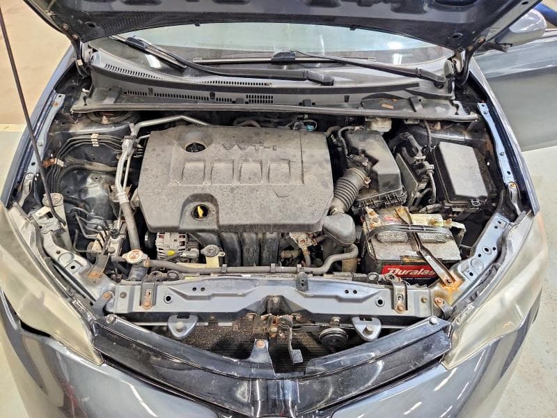 2019 TOYOTA COROLLA LE 11