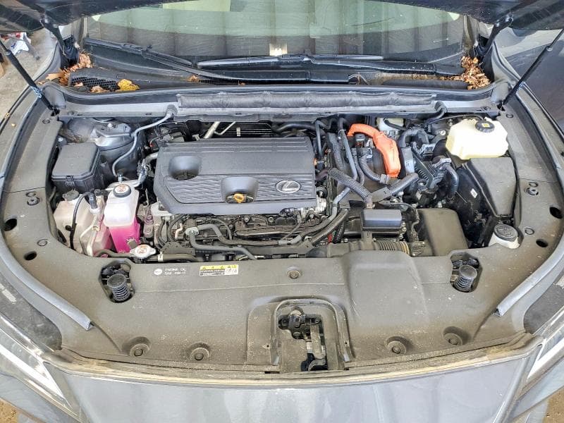 2025 LEXUS RX 350H PREMIUM+ 12