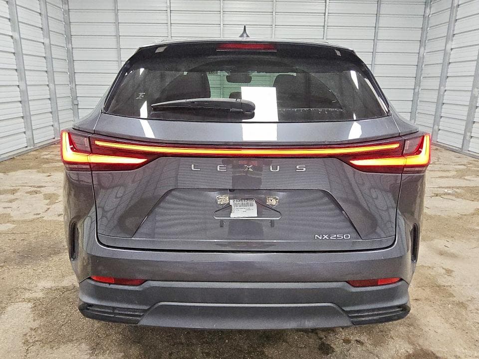 2023 LEXUS NX 250 6