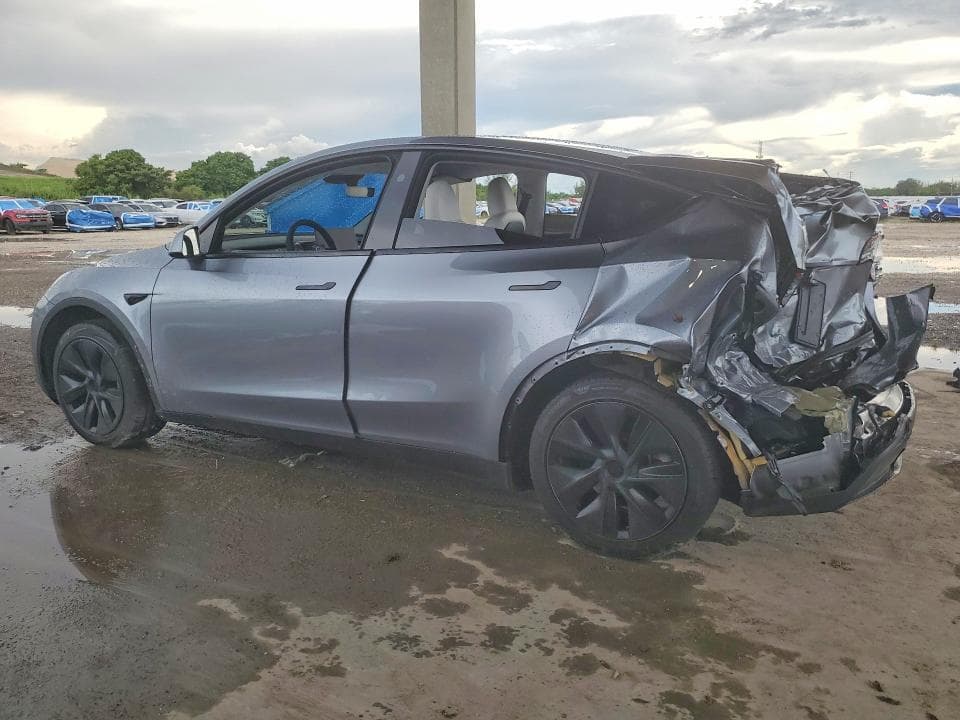 2024 TESLA MODEL Y 2