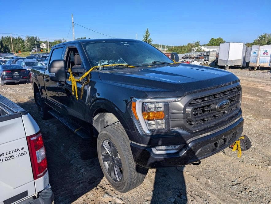 2023 FORD F150 SUPERCREW 4