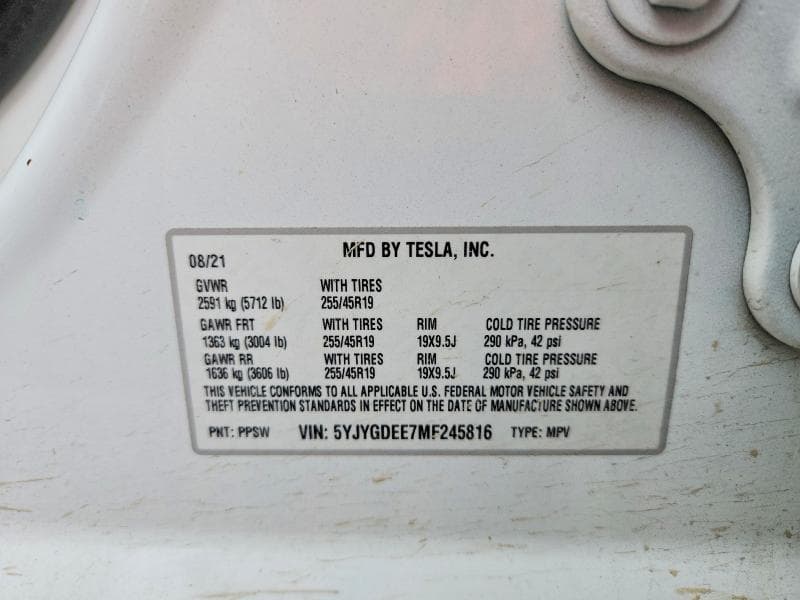 2021 TESLA MODEL Y 12