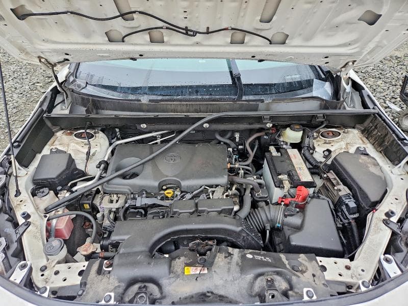 2019 TOYOTA RAV4 XLE 12