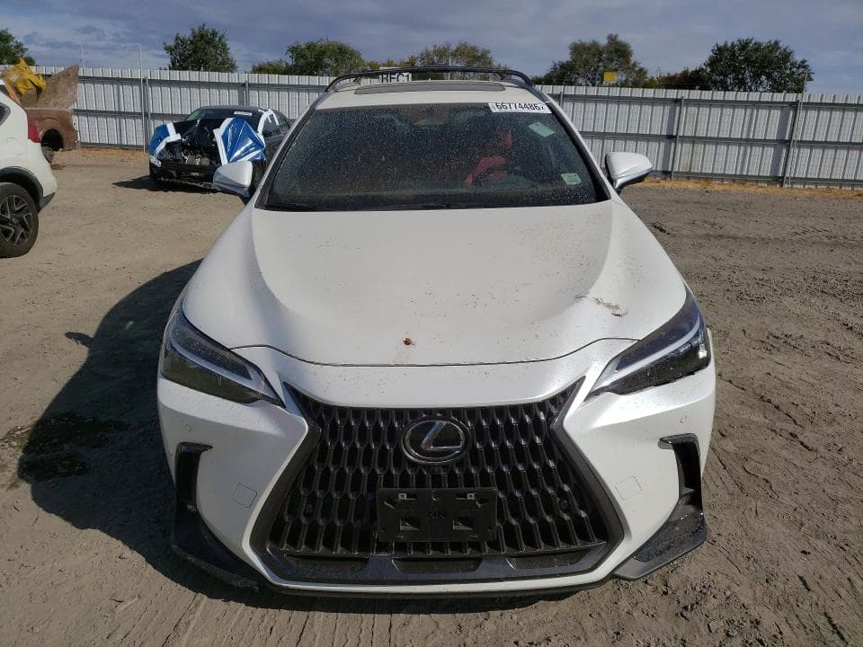 2025 LEXUS NX 350H PREMIUM 5
