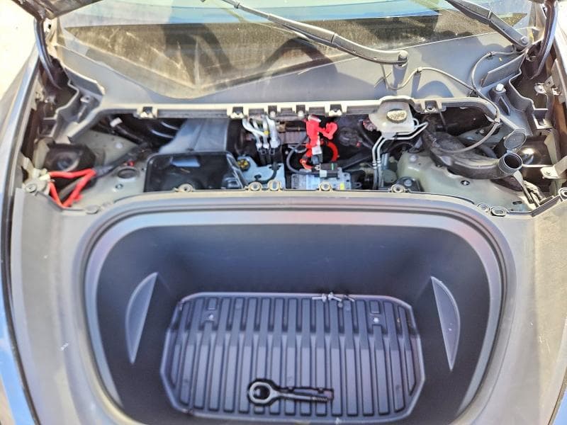 2023 TESLA MODEL Y 12