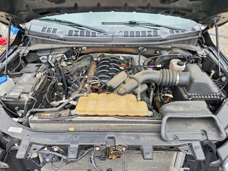 2019 FORD F150 SUPER CAB 11