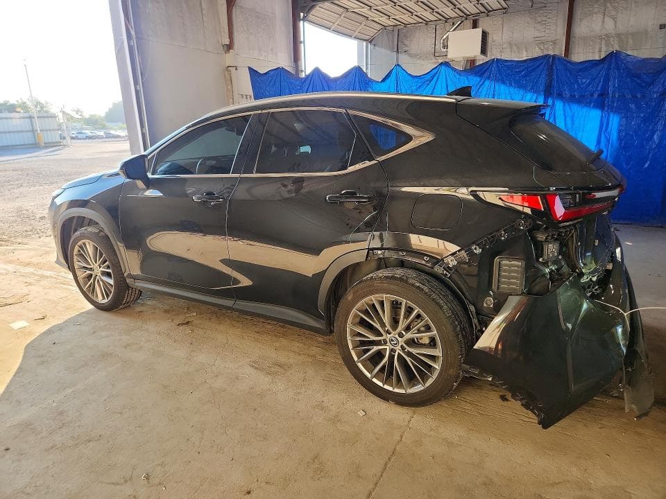 2024 LEXUS NX 350H LUXURY 2