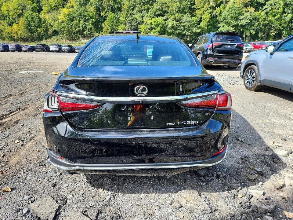 2024 LEXUS ES 250 BASE 6