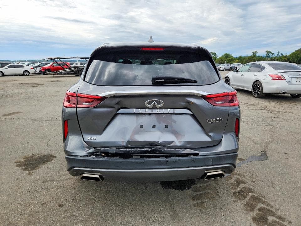 2019 INFINITI QX50 LUXE 6