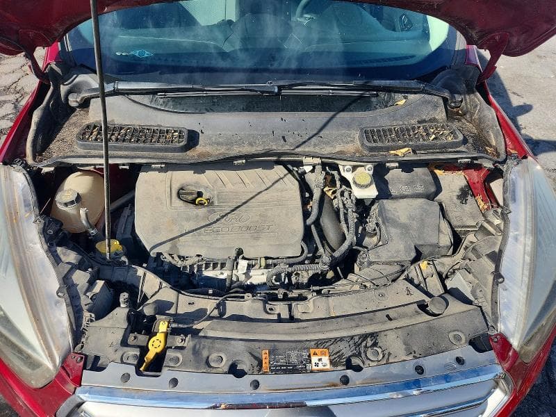 2017 FORD ESCAPE SE 12