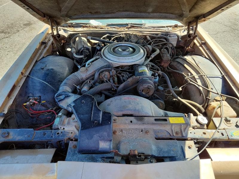 1979 LINCOLN MARK 5 11