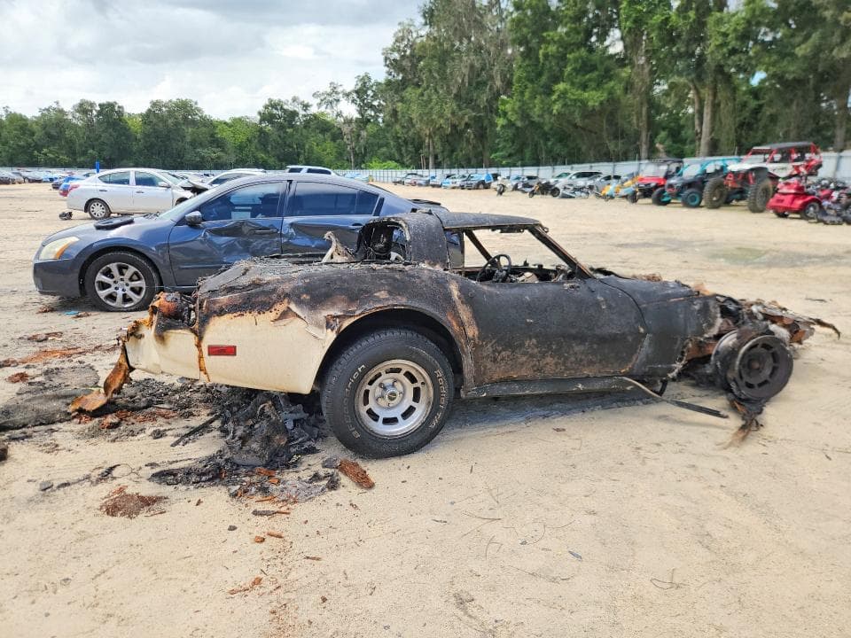 1981 CHEVROLET CORVETTE 3