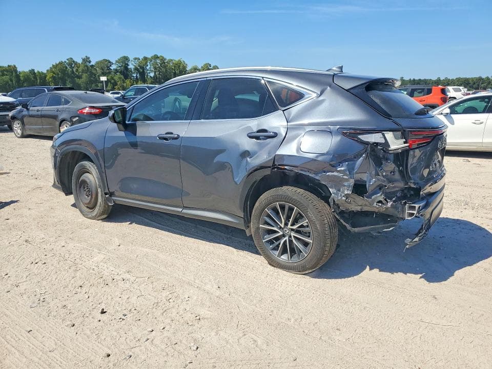2024 LEXUS NX 250 PREMIUM 2