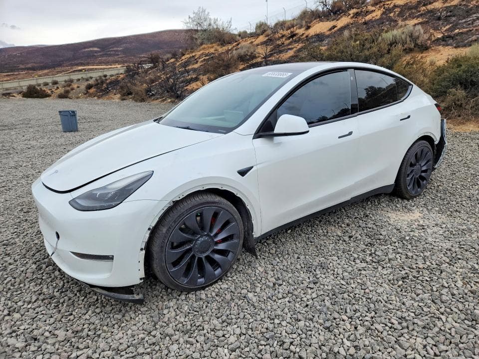 2023 TESLA MODEL Y - 1