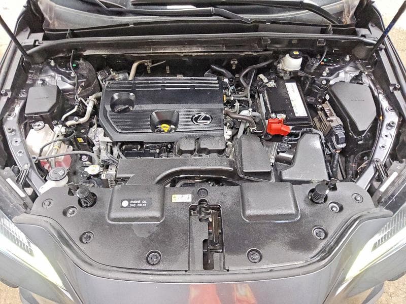 2023 LEXUS NX 250 11