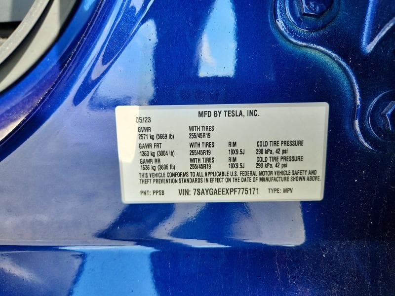 2023 TESLA MODEL Y 13