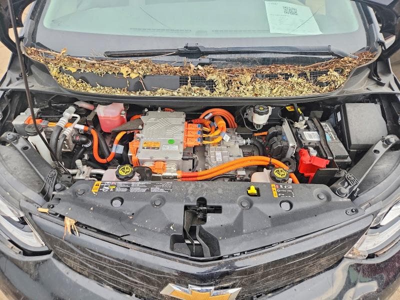 2020 CHEVROLET BOLT EV LT 11