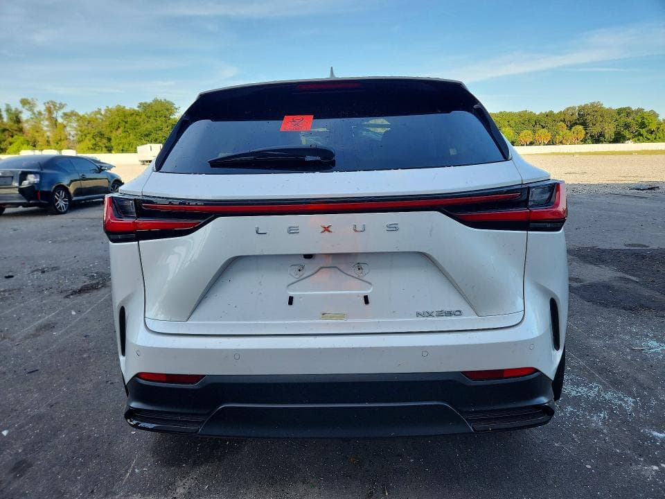 2024 LEXUS NX 250 PREMIUM 6