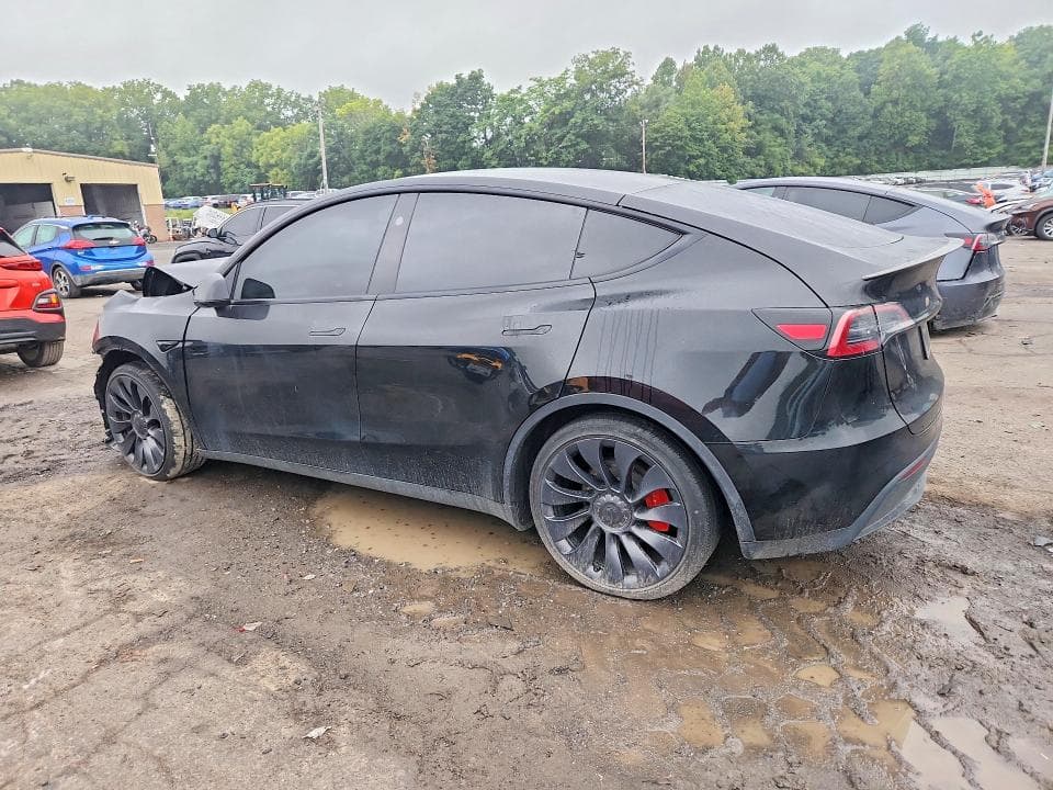 2025 TESLA MODEL Y 2