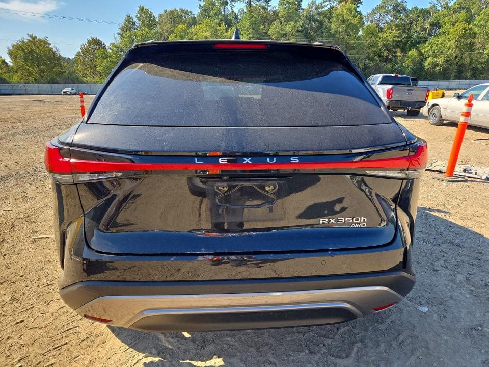 2024 LEXUS RX 350H LUXURY 6