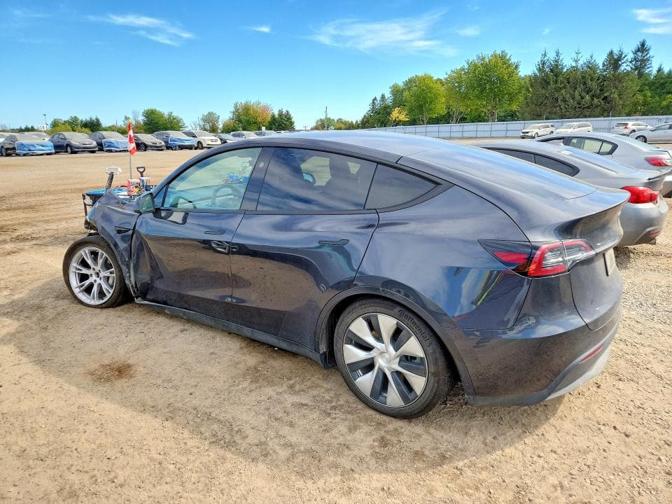 2024 TESLA MODEL Y 2