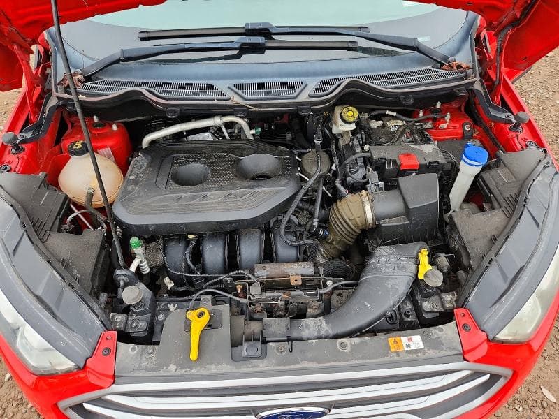 2019 FORD ECOSPORT SE 12